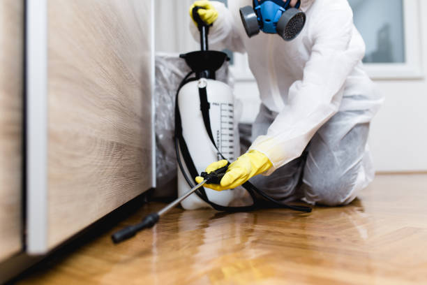 Best Termite Control Services  in Mogul, NV