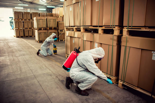 Reliable Mogul, NV Pest Control Solutions
