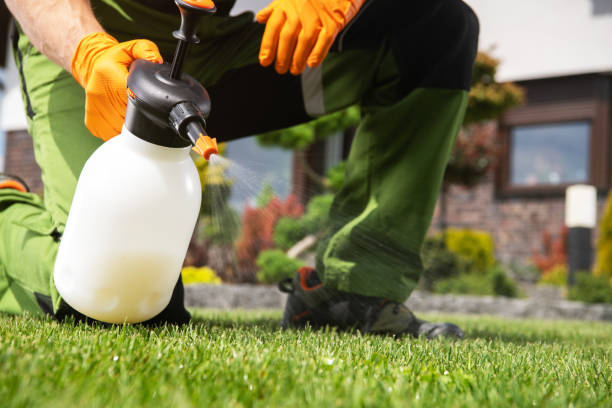 Best Mosquito Control Services  in Mogul, NV